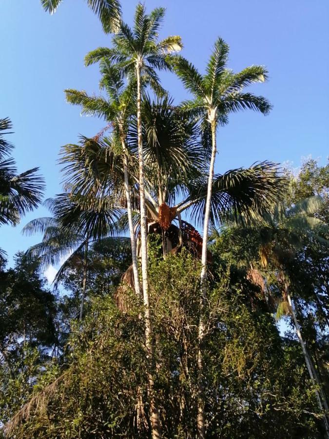 Palmayacu - Refugio Amazonico Летісія Екстер'єр фото