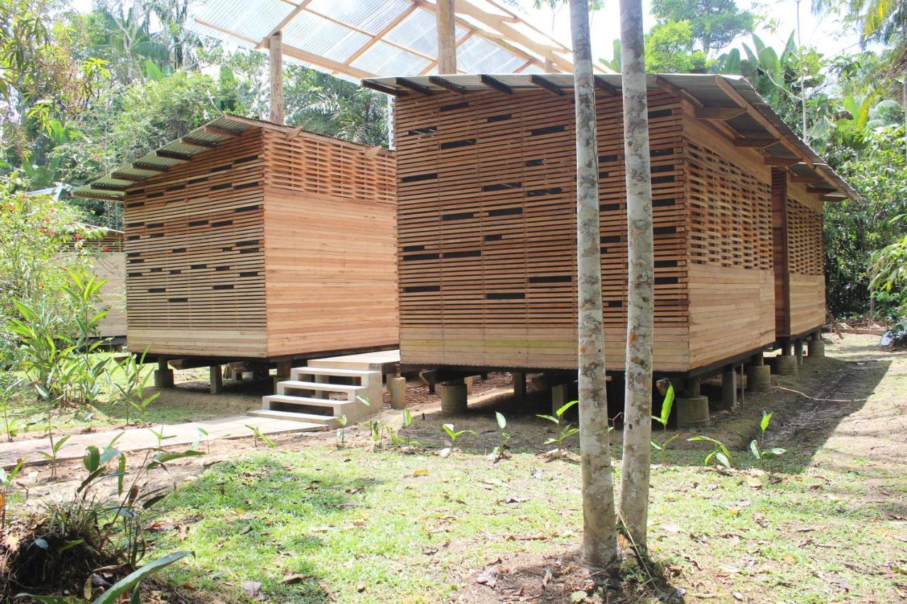 Palmayacu - Refugio Amazonico Летісія Екстер'єр фото